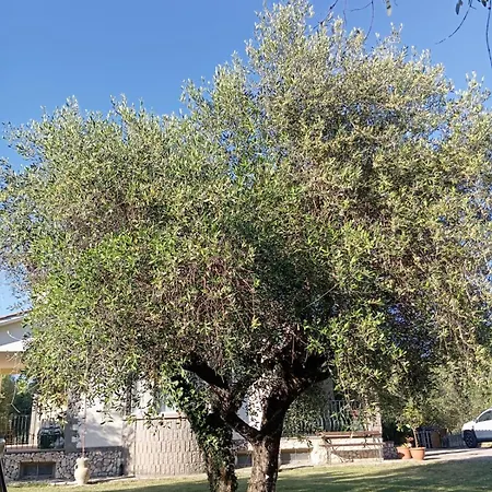 Сasa de vacaciones Celestina, A 10 Minuti Dalle Terme Vetralla